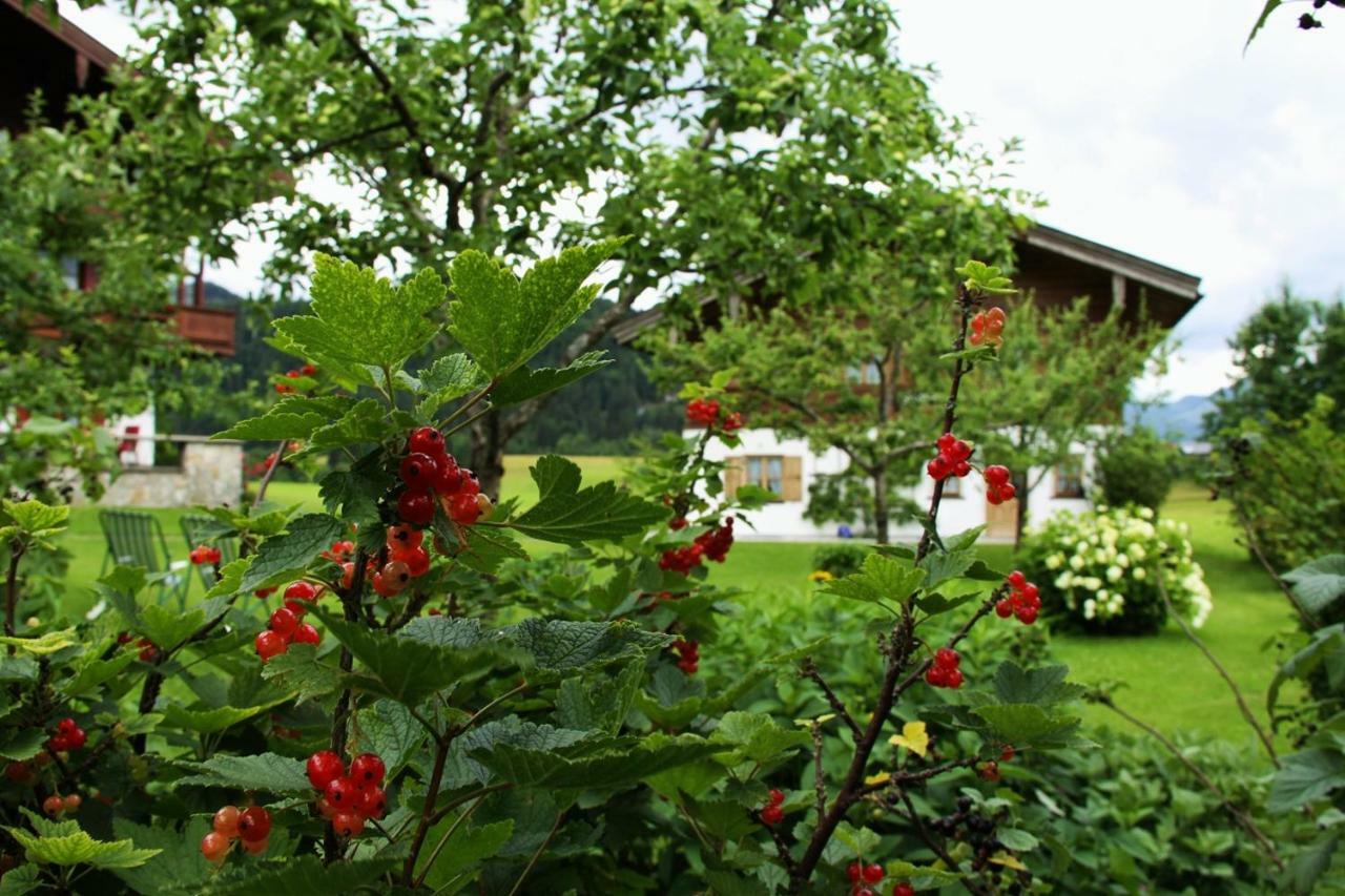 Chalet Menkenhof Reit im Winkl Esterno foto